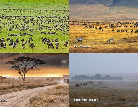 How many seasons are there in Tanzania?