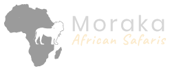 Moraka-Logo